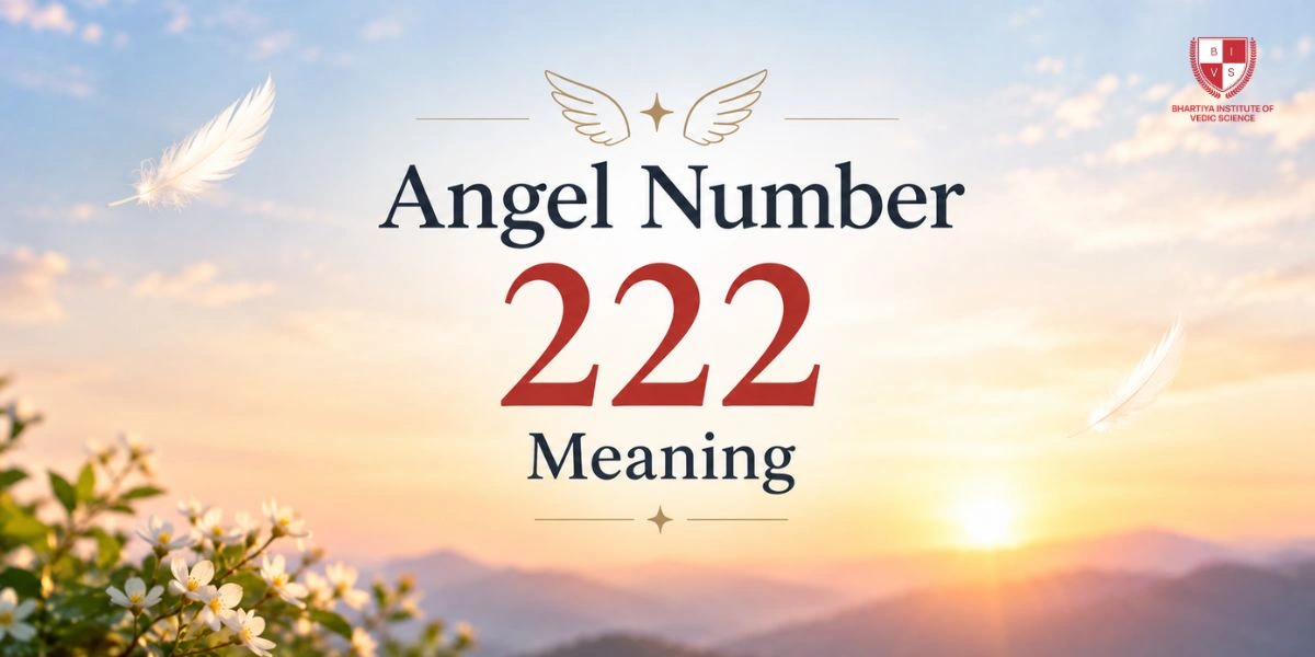 Angel Number 222 Meaning: Love, Twin Flame & Career
