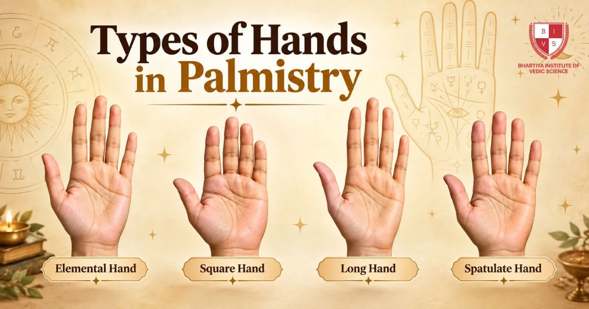 Types of Hand in Palmistry